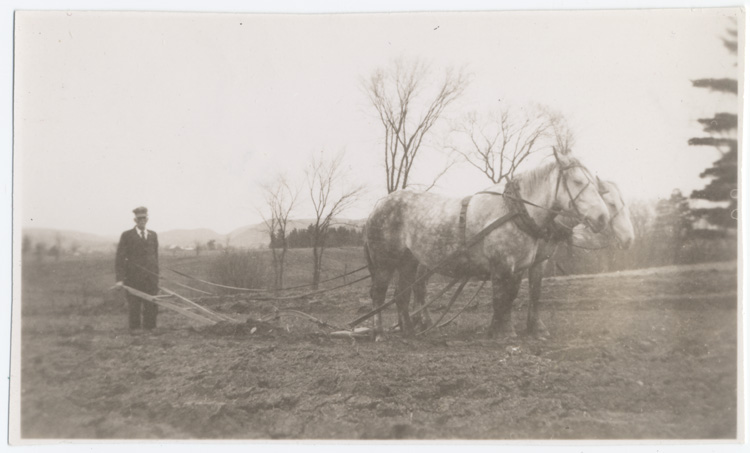 Reproduction d’une photographie de Delphis Charbonneau labourant la terre avec une charue tir&eacute;e par des chevaux, Lefaivre (Ontario), 13 novembre 1944.