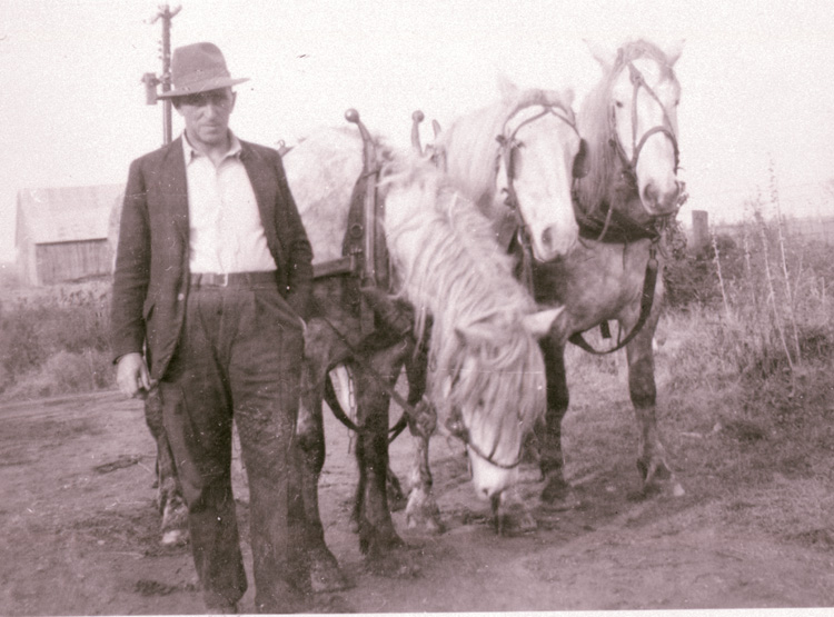Reproduction d’une photographie de Albert Servais avec un attelage tirant une charrue &agrave; deux socs &agrave; Limoges (Ontario), 1941.