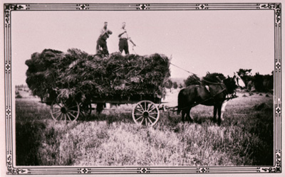 Reproduction d’une photographie d’une charrette &agrave; foin lors de la moisson &agrave; la ferme de la famille Gratton, Wendover (Ontario), 1940.