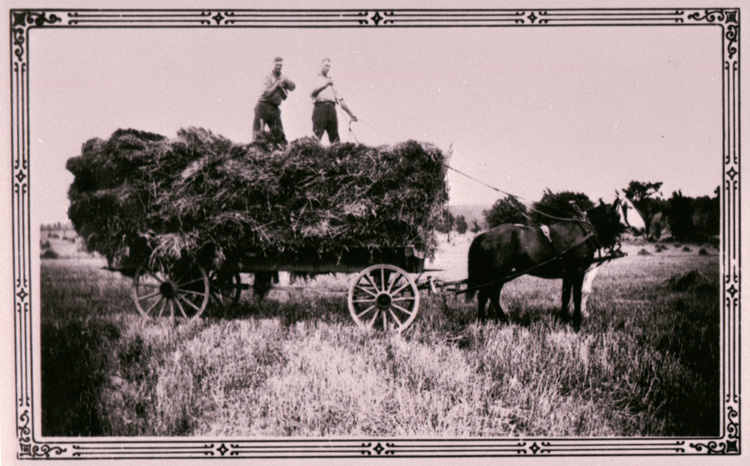 Reproduction d’une photographie d’une charrette &agrave; foin lors de la moisson &agrave; la ferme de la famille Gratton, Wendover (Ontario), 1940.