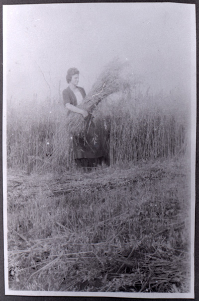 Reproduction d’une photographie de Extrazile C&ocirc;t&eacute; avec une gerbe d’avoine et de bl&eacute;, Norembega (Ontario), ca 1921.