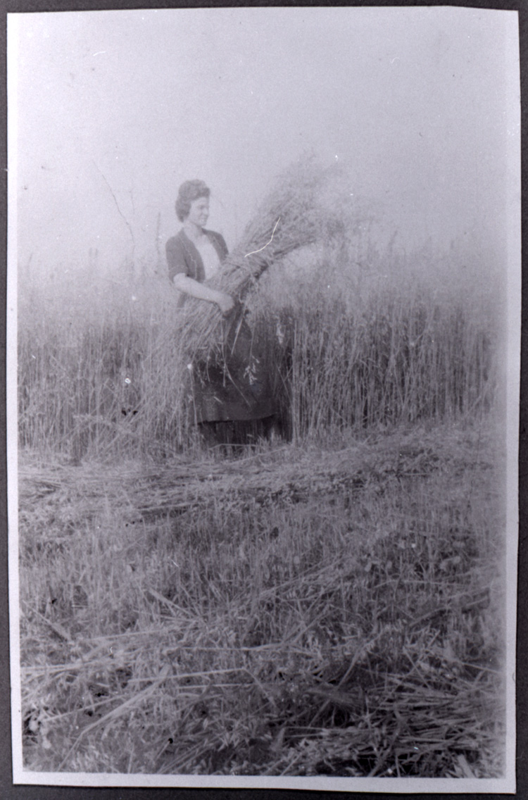 Reproduction d’une photographie de Extrazile C&ocirc;t&eacute; avec une gerbe d’avoine et de bl&eacute;, Norembega (Ontario), ca 1921.