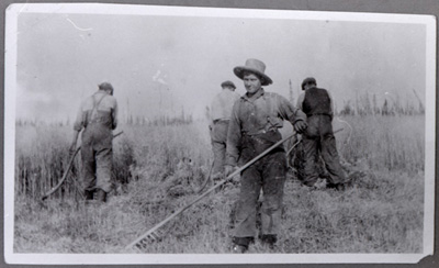 Reproduction d’une photographie de moissonneurs avec des faux et des r&acirc;teaux, M. Numainville fauchant, Norembega (Ontario), ca 1922.