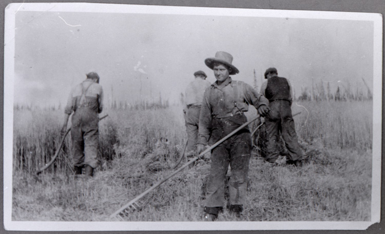 Reproduction d’une photographie de moissonneurs avec des faux et des r&acirc;teaux, M. Numainville fauchant, Norembega (Ontario), ca 1922.