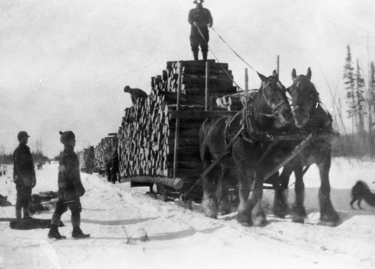Reproduction d’une photographie de tra&icirc;neaux charg&eacute;s de bois de pulpe lors d’une comp&eacute;tition pour le transport de la plus lourde charge, Norembega (Ontario), ca 1920.